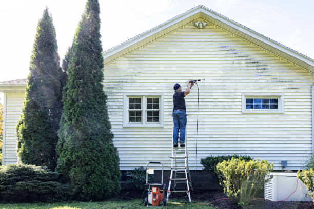 Best Patio and Deck Pressure Washing  in Muldraugh, KY